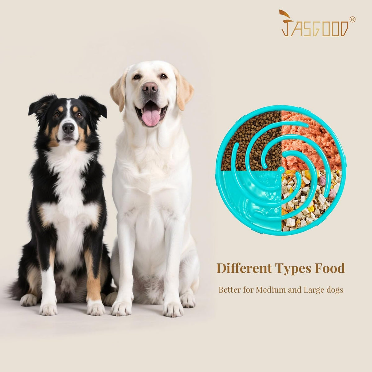 Slow Feeder Dog Bowl for Large and Medium Breeds - Anti-Gulping Design to Prevent Bloat and Choking