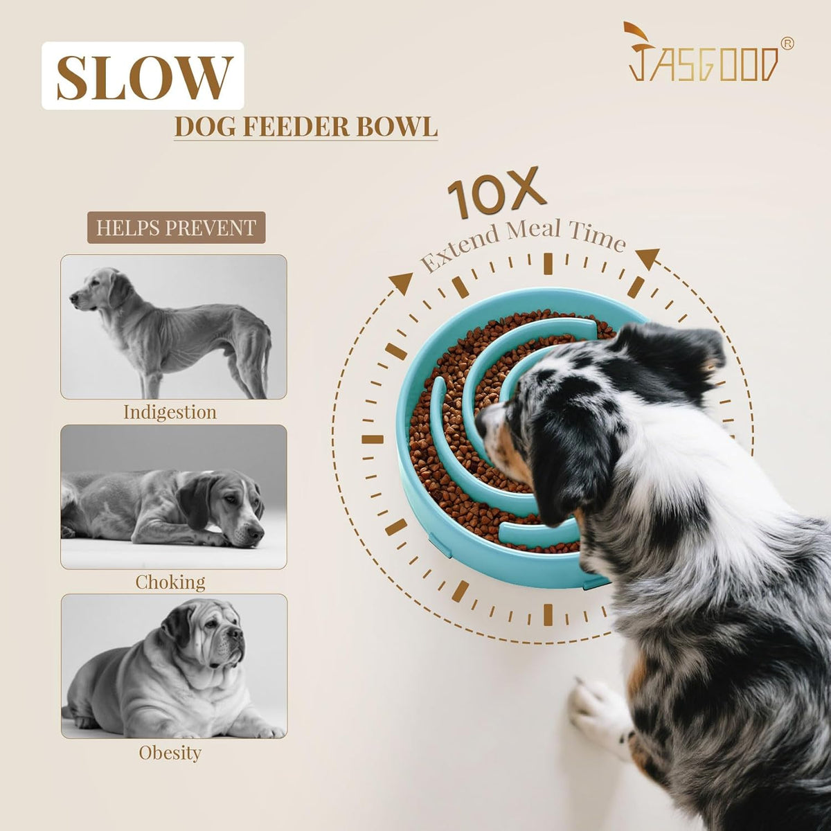 Slow Feeder Dog Bowl for Large and Medium Breeds - Anti-Gulping Design to Prevent Bloat and Choking