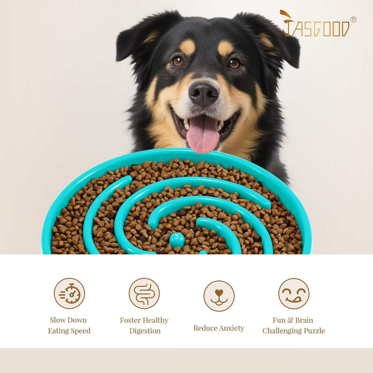 Slow Feeder Dog Bowl for Large and Medium Breeds - Anti-Gulping Design to Prevent Bloat and Choking